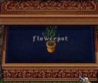 Flower Pot.jpg