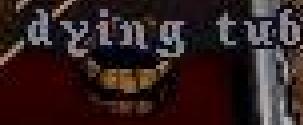 blackdyetub.JPG