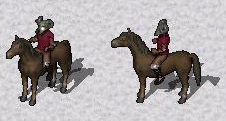 Me on Horse.jpg