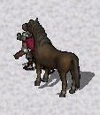 Horse on Me.jpg