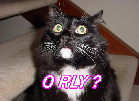 orly[1].jpg