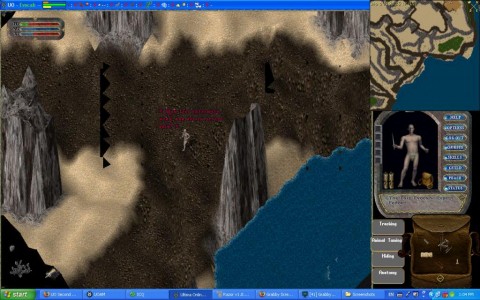 Before long I decided that I could not go on without the proper supplies.  The many frenzied ostards, titans, stoned gargoyles, wyverns, and so on made it not a fun place to be when you have no way to heal!  Not long after I decided to return to Papua did I run into a scorpion, unable to avoid its sting I was poisoned and fled for my life to try and reach Papua before the poison spread too far.
