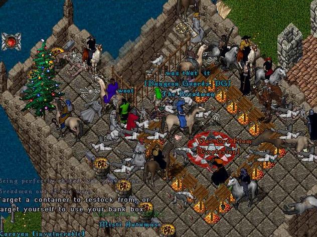 12.JPG