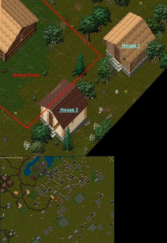 yew1.JPG
