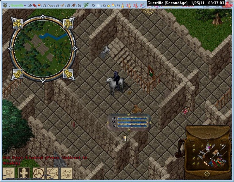 Guerrilla_1-25_03.37.jpg