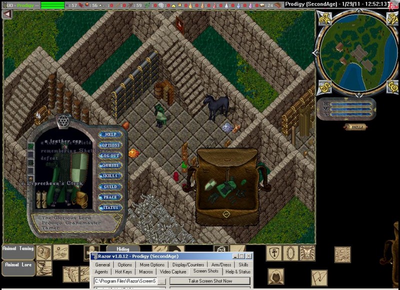 Prodigy_1-29_12.52.jpg