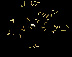 haylight1.jpg