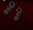 902's in bank.jpg