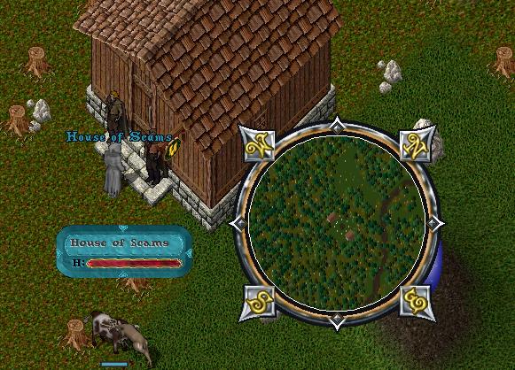 scam.jpg