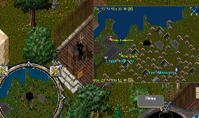 Yew Vendor.png