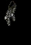 pic of armor