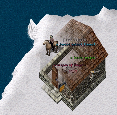 ownedinside.jpg