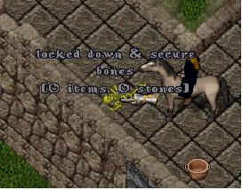 BONES.jpg