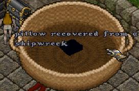 pillow.jpg