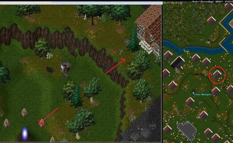 trinsmall.jpg