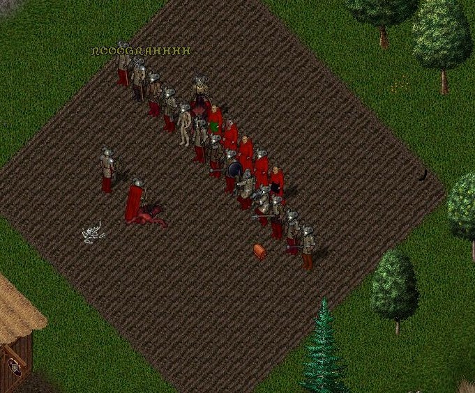 orc14.jpg