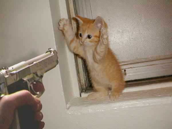 aww stick up.jpg