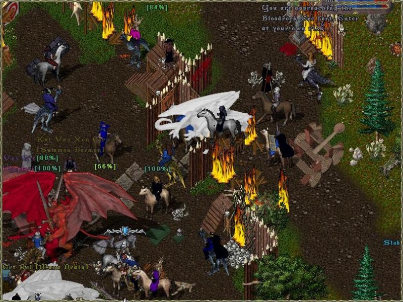 VespInvFort3.JPG