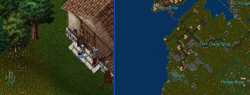 fizzle skara patio.JPG