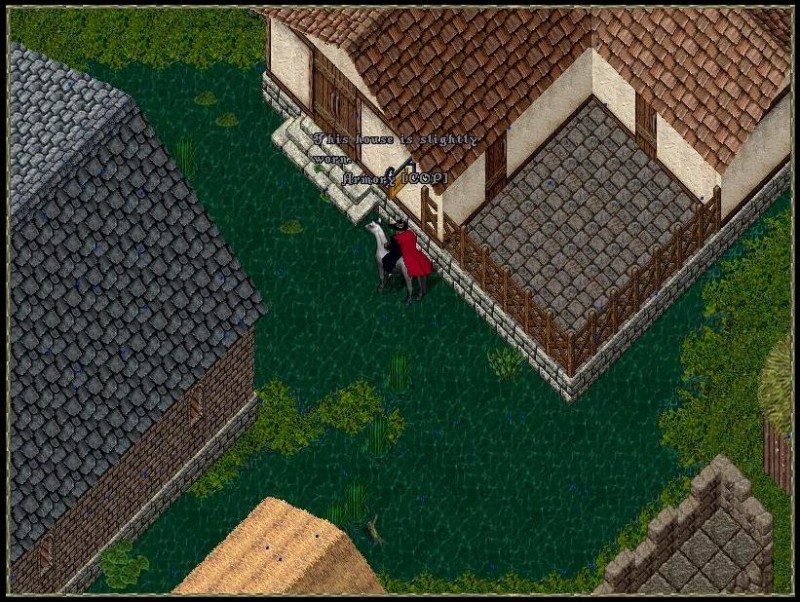 swamp_patio.JPG