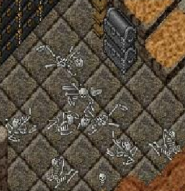 bone containers.png