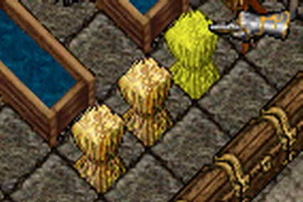 Hay.jpg