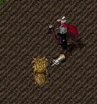 sheaf2.jpg