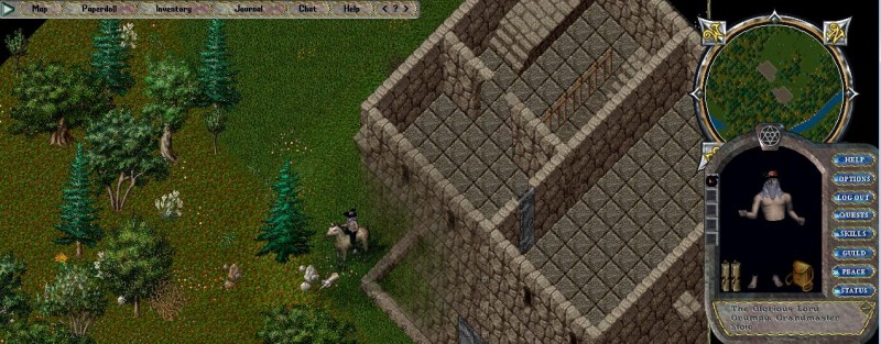 HedgeMazeTower.jpg