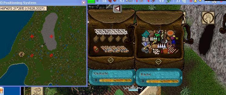 newrareshop.JPG