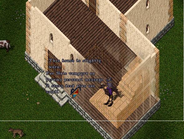 For Sale storm.JPG