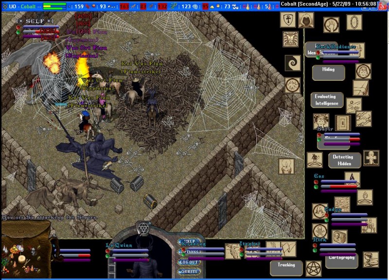 tera6.jpg