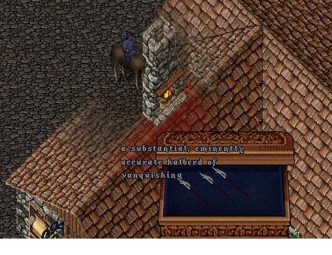 hally.jpg