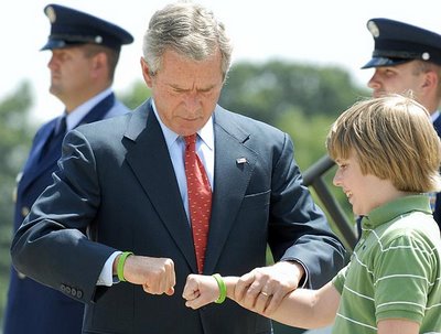 bushmp.jpg