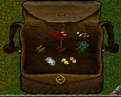 packregs.jpg