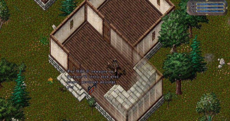 yewgoldynxtdoor.JPG
