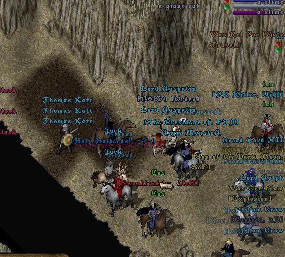 f3.jpg