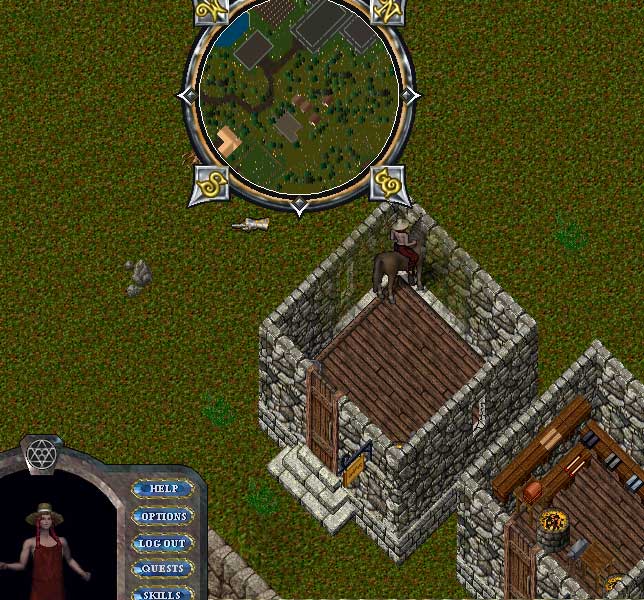 YewSouth1.jpg