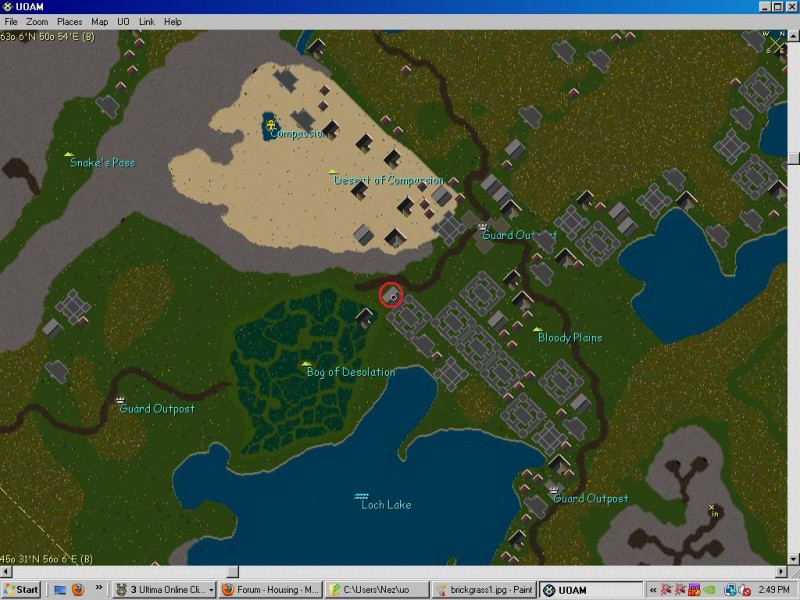 brickgrass2.jpg