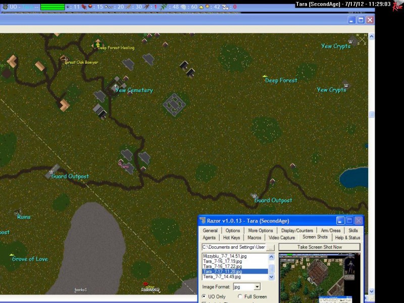 Tara_7-17_11.29.jpg