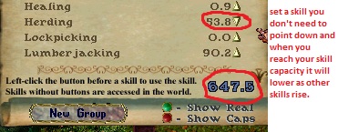 skill-.jpg