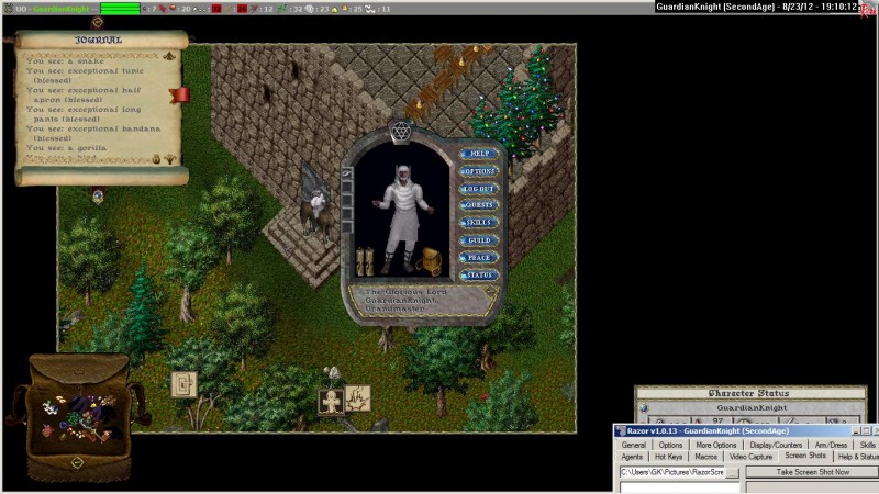 GuardianKnight_8-23_19.10.jpg