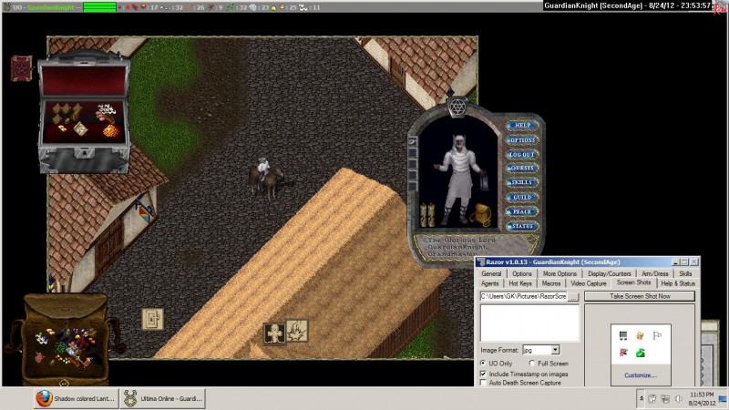 GuardianKnight_8-24_23.53.jpg
