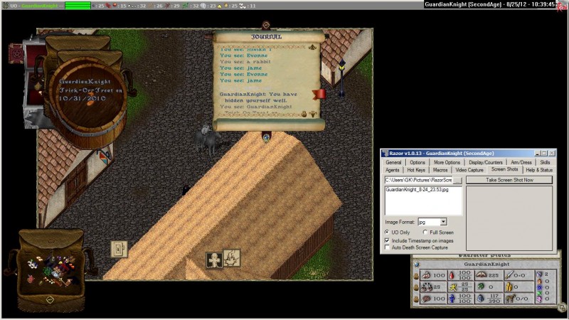 GuardianKnight_8-25_10.39.jpg