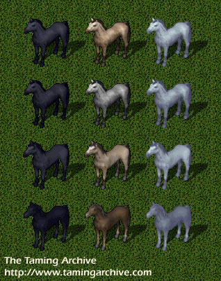 pets-steeds.jpg