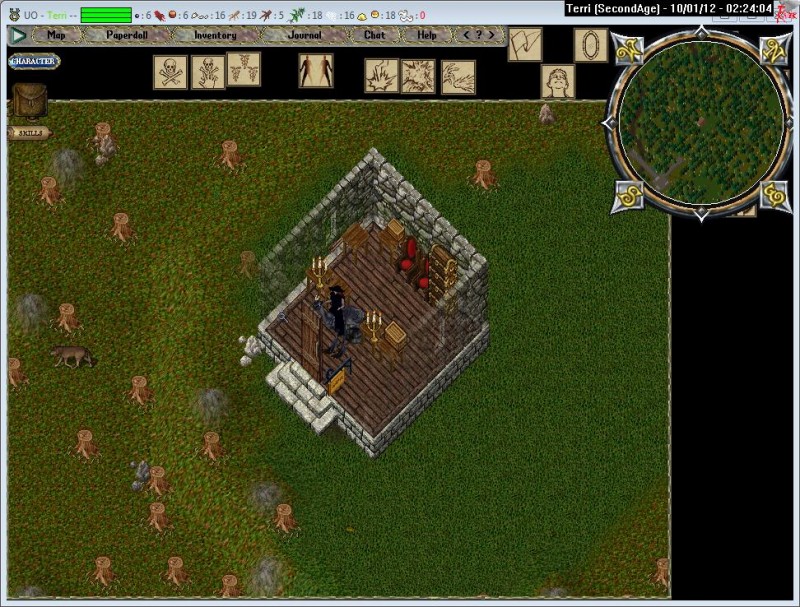 Terri_10-1_02.24.jpg