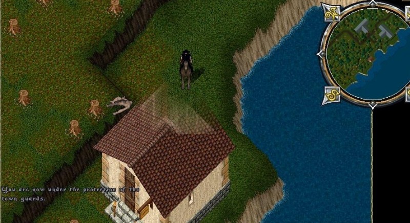 Terri Guard.jpg