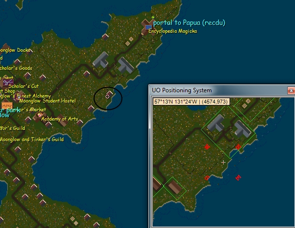 Terri MG.jpg