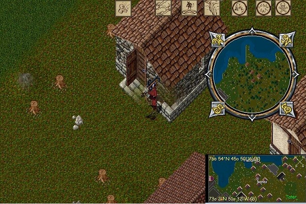 Yew small.jpg
