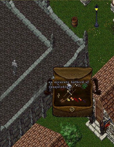+5 vanq hally.jpg
