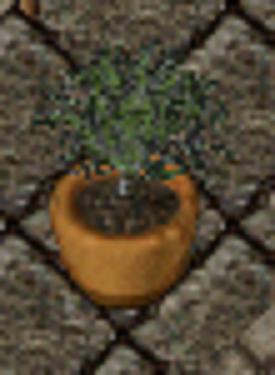 Untitled.jpg